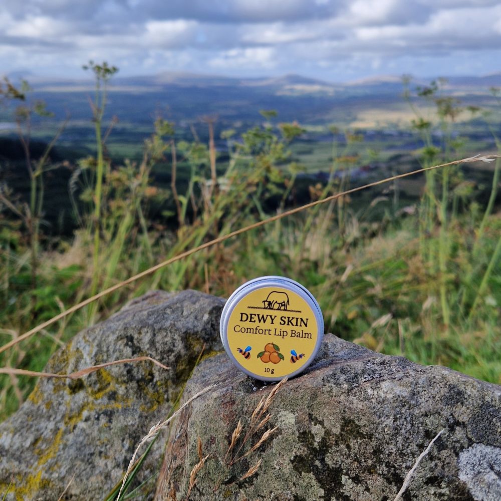 Comfort Lip Balm