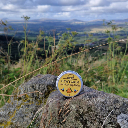Dewy Skin Natural Comfort Lip Balm in a natural setting on a rock with a scenic background