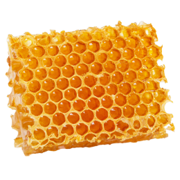 Dewy Skin Natural beeswax